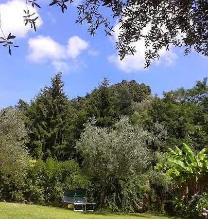 Holiday home La Casa Del Fattore Camaiore
